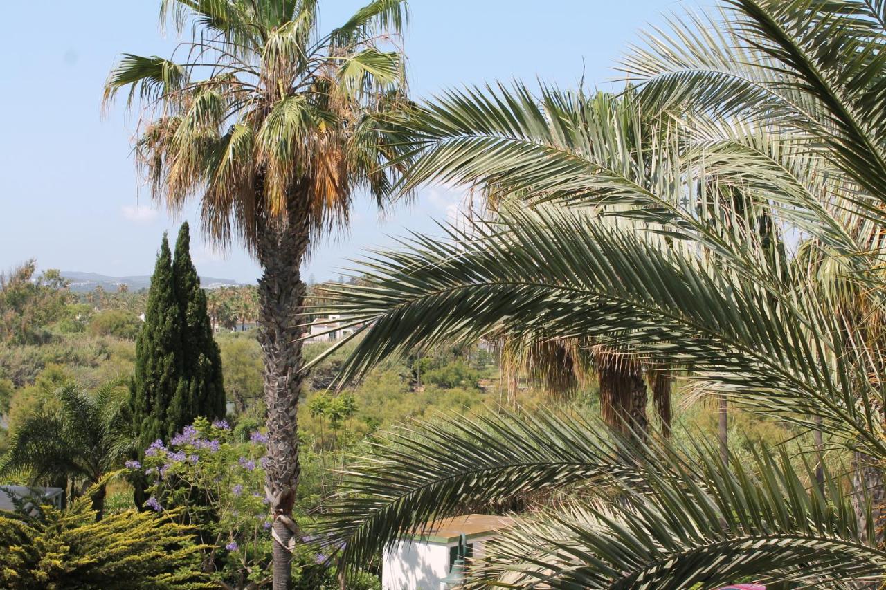 New View Sotogrande Marina - Jungla Del Loro 아파트 외부 사진